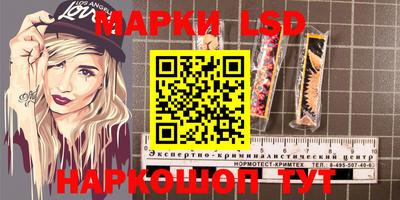 гидропоника Добрянка