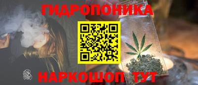 гидропоника Добрянка
