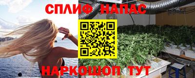 гидропоника Добрянка