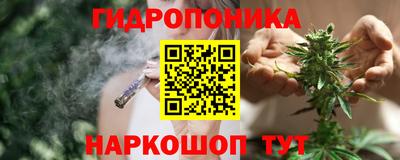 бошки Долгопрудный