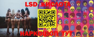 молекула духа Дмитров