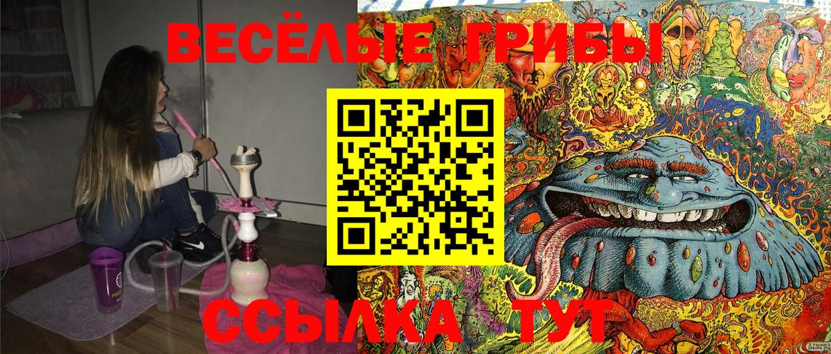 Галлюциногенные грибы Psilocybine cubensis  Вход с VPN  продажа наркотиков  Вятские Поляны 
