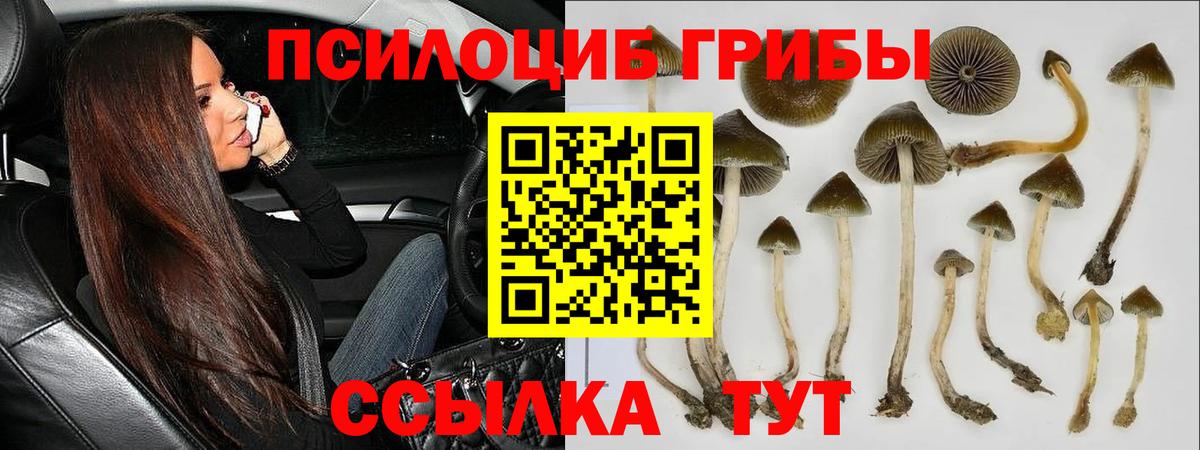 Галлюциногенные грибы MAGIC MUSHROOMS Вятские Поляны